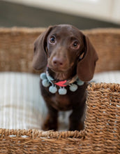 Cargar imagen en el visor de la galería, Collar Tintin